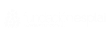 Fundación Esplai
